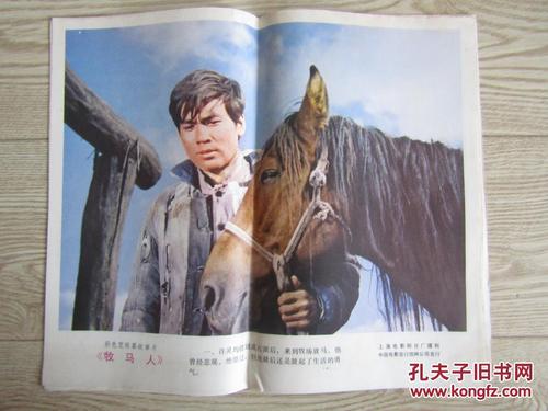 哪里能买到华威大学学位证